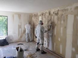 Environmental Consulting for Mold Prevention in Lincoln, MO